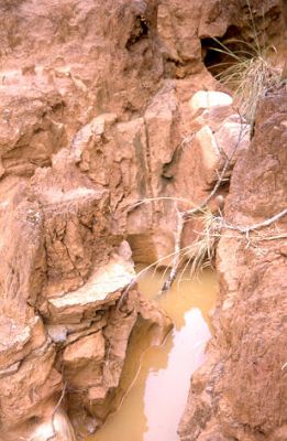 Empozamiento por infiltraciones con inestabilidad de terrenos, cerro Pan de Azúcar
CEHAP, 1996
Palabras clave: PAN DE Azucar MEDELLIN