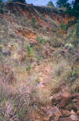 Erosión "remontante", cerro Pan de Azúcar
CEHAP, 1996
Palabras clave: ZONAS DE RIESGO PAN DE Azucar MEDELLIN