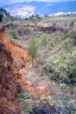 Erosión "remontante", cerro Pan de Azúcar
CEHAP, 1996
Palabras clave: ZONAS DE RIESGO PAN DE Azucar MEDELLIN