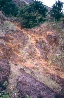 Erosión laminar a lo largo de los senderos peatonales, cerro Pan de Azúcar
CEHAP, 1996
Palabras clave: PAN DE Azucar MEDELLIN