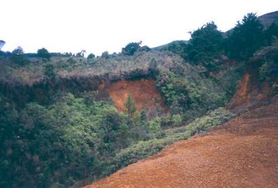 Erosión "remontante", cerro Pan de Azúcar
CEHAP, 1996
Palabras clave: ZONAS DE RIESGO PAN DE Azucar MEDELLIN