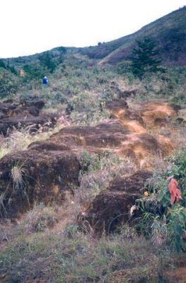 Erosión laminar a lo largo de los senderos peatonales, cerro Pan de Azúcar
CEHAP, 1996
Palabras clave: PAN DE Azucar MEDELLIN