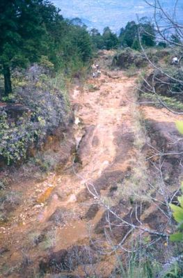 Erosión laminar a lo largo de los senderos peatonales, cerro Pan de Azúcar
CEHAP, 1996
Palabras clave: PAN DE Azucar MEDELLIN