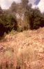 D5417.jpg
