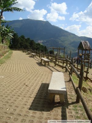 Sendero peatonal de la comuna 8
CEHAP, 2009
Palabras clave: PINARES DE ORIENTE MEJORAMIENTO
