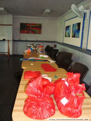 Preparaciones por parte de los estudiantes de la Nacional para la actividad
CEHAP, 2009
Palabras clave: PINARES DE ORIENTE