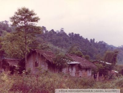 La vivienda refleja las precarias condiciones de vida de sus ocupantes
PEVAL, APROX 1980
Palabras clave: VENTURA PROVINCIA CAÑAR ECUADOR