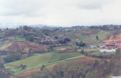 Panoramica Sector rural
CEHAP 2000
Palabras clave: RURAL