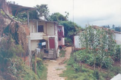 Camino hacia viviendas en sector rural
CEHAP 2000
Palabras clave: CAMINO VEREDAL