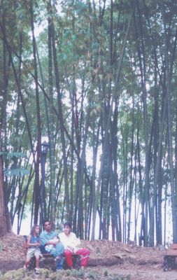 Parque Armenia
CEHAP
Palabras clave: PARQUES