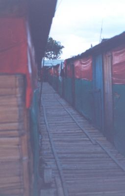 Vias de acceso a Viviendas Provisionales
CEHAP
Palabras clave: VIVIENDAS TEMPORALES ALBERGUES SISMOS EJE CAFETERO