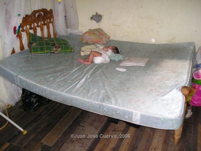 Cama de Inquilinato en Medellin
JUAN JOSE CUERVO
2006
Palabras clave: TESIS INQUILINATOS NIQUITAO