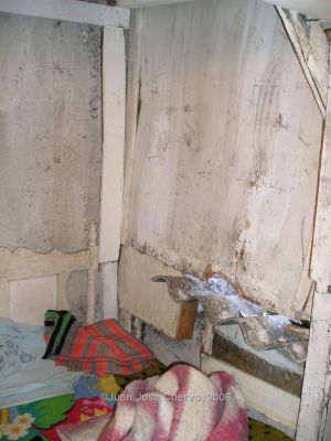 Detalle del deterioro de las Paredes de una Habitacion de Inquilinato de Niquitao, Medellin
JUAN JOSE CUERVO
2006
Palabras clave: TESIS INQUILINATOS NIQUITAO