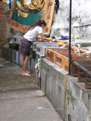 Zona de Ropas de Inquilinato en Niquitao, Medellin
JUAN JOSE CUERVO
2006
Palabras clave: TESIS INQUILINATOS NIQUITAO