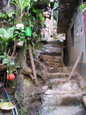Acceso a Inquilinato de Niquitao, Medellin
JUAN JOSE CUERVO
2006
Palabras clave: TESIS INQUILINATOS NIQUITAO