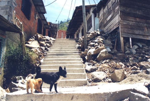 Viviendas sin aceras, zona del Picacho, Medellin
CEHAP 1999
Palabras clave: TALLER 23 CALLES BARRIOS MEDELLIN