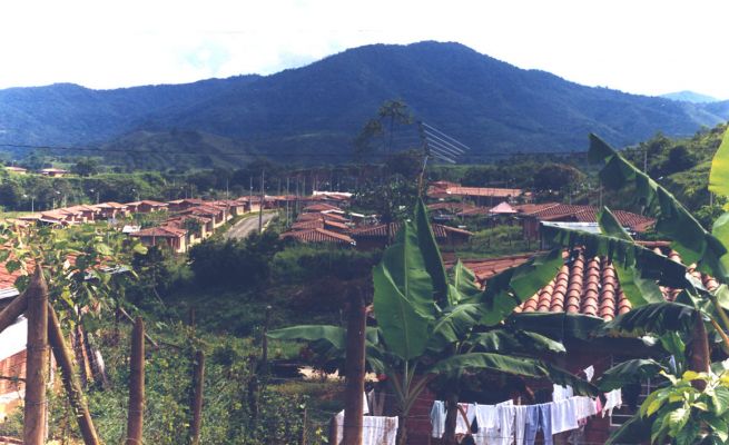 Area rural de Manizales
CEHAP 1999
Palabras clave: EJE CAFETERO
