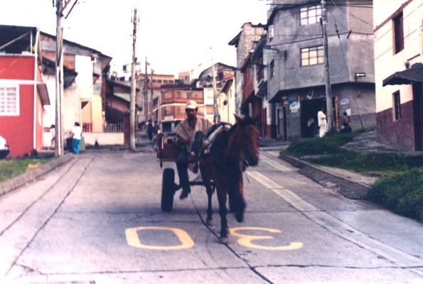 Vehiculo de traccion animal circulando en la via en Manizales
CEHAP 1999
Palabras clave: EJE CAFETERO CALLES