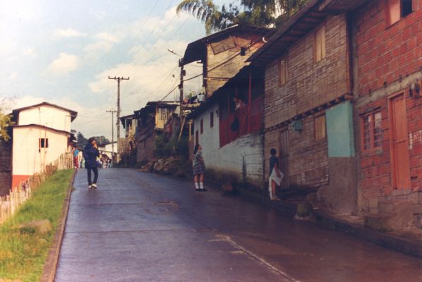 Viviendas en esterrilla de guadua, barrios de Manizales
CEHAP 1999
Palabras clave: GUADUA