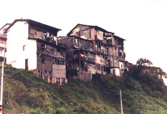 Viviendas en esterilla de guada en zona pendiente de Manizales
CEHAP 1999
Palabras clave: GUADUA VIVIENDA EN PENDIENTE