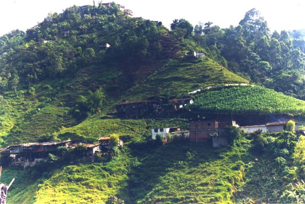 Panoramica zona rural de Manizales
CEHAP 1999
Palabras clave: EJE CAFETERO RURALIDAD