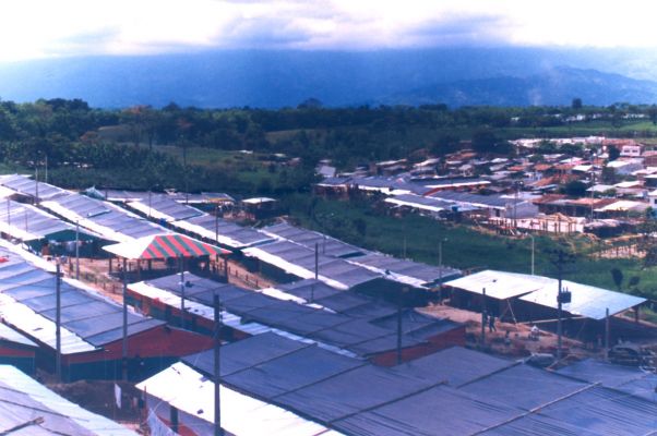 Panoramica viviendas temporales en La Tebaida
CEHAP 1999
Palabras clave: VIVIENDAS TEMPORALES ALBERGUES SISMOS