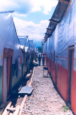 Espacios de circulacion entre las viviendas temporales en La Tebaida
CEHAP 1999
Palabras clave: VIVIENDAS TEMPORALES ALBERGUES SISMOS