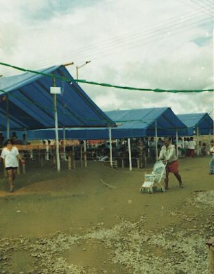 Viviendas temporales en Armenia
CEHAP 1999
Palabras clave: VIVIENDAS TEMPORALES ALBERGUES SISMOS