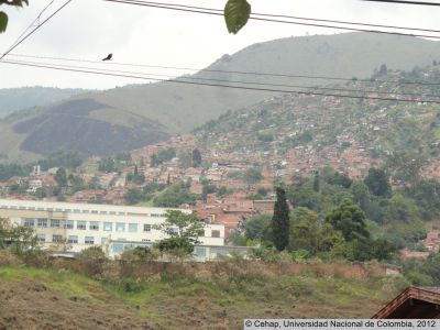 DSC06091_28Copiar29.JPG