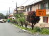 DSC06134_28Copiar29.JPG