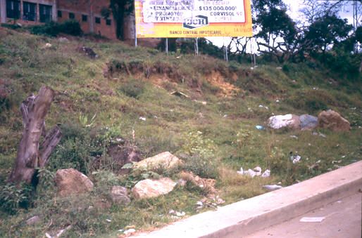 Rededores de la urbanización Villa Sofía Medellín
1990
Palabras clave: VILLA SOFIA