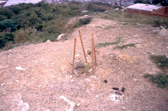 Reforestación, urbanización Villa Sofía Medellín
1990
Palabras clave: VILLA SOFIA