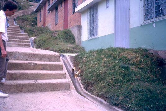 Disposición de aguas negras, urbanización Villa Sofía Medellín
1990
Palabras clave: VILLA SOFIA