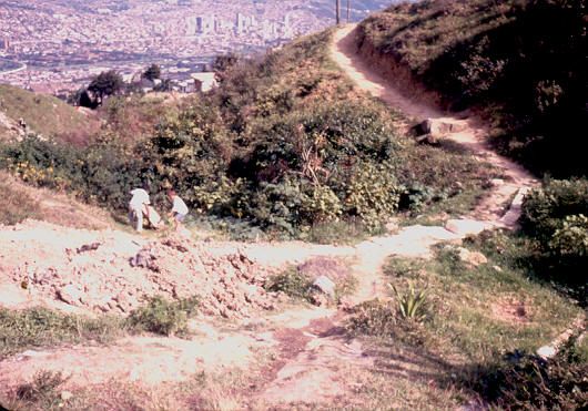 Zonas de acceso a la urbanización Villa Sofía Medellín
1990
Palabras clave: VILLA SOFIA