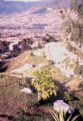 Reforestación, urbanización Villa Sofía Medellín
1990
Palabras clave: VILLA SOFIA