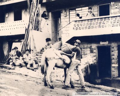 Transporte de mercancias o productos por medio de mulas de carga en el barrio Santo Domingo Savio en 1980
Peval, 1980
Palabras clave: SANTO DOMINGO SAVIO MEDELLIN VIVIENDAS