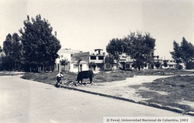 Vacas pastando en areas en estado de abandono en el barrio Garces Navas en Bogota
Peval-Ceam, 1982
Palabras clave: VIVIENDA BARRIO GARCES NAVAS BOGOTA