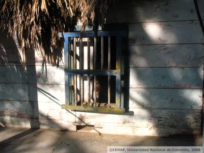 Ventana de madera en vivienda tipica de Isla Fuerte en Bolivar
Senia Salazar, 2008
Palabras clave: VIVIENDA ISLA FUERTE BOLIVAR