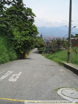 Via principal del sector San Lorenzo, en Medellin
CEHAP 2006
Palabras clave: SECTOR SAN LORENZO MEDELLIN