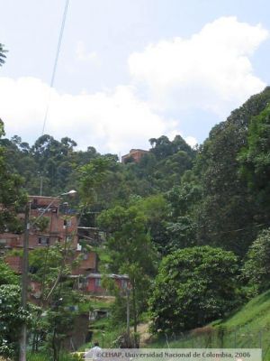 Viviendas en San Lorenzo, Medellin
CEHAP 2006
Palabras clave: SECTOR SAN LORENZO MEDELLIN