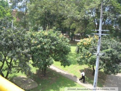 Accesos peatonales en el Sector de San Lorenzo de Medellin
CEHAP 2006
Palabras clave: SAN LORENZO MEDELLIN MEJORAMIENTO