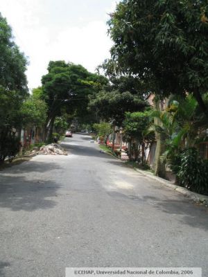 Calle arborizada del sector de San Lorenzo de Medellin
CEHAP 2006
Palabras clave: SAN LORENZO MEDELLIN