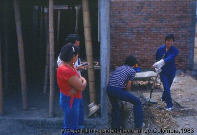 Participación de la comunidad en la construcción de viviendas
Peval, 1983
Palabras clave: Barrio El Poblado Cali Viviendas Autoconstrucción