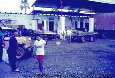 Sitio de venta de materiales de construcción en el Barrio El Poblado Cali
Peval, 1983
Palabras clave: Barrio El Poblado Cali Viviendas