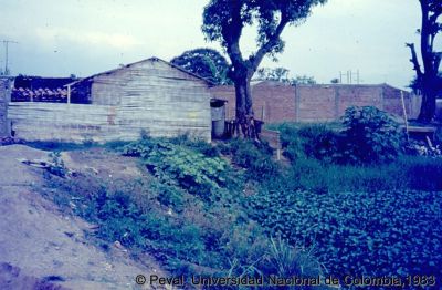 Precariedad de las viviendas en el Barrio El Poblado Cali
Peval, 1983
Palabras clave: Barrio El Poblado Cali Viviendas