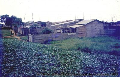 Precariedad de las viviendas en el Barrio El Poblado Cali
Peval, 1983
Palabras clave: Barrio El Poblado Cali Viviendas