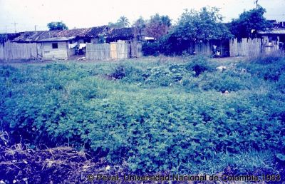 Precariedad de las viviendas en el Barrio El Poblado Cali
Peval, 1983
Palabras clave: Barrio El Poblado Cali Viviendas