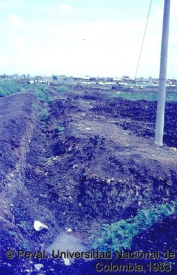 Inicio de obras del programa de construcción de viviendas en el Barrio El Vallado Cali
Peval, 1983
Palabras clave: Barrio el Vallado Cali Viviendas Lotes y servicios