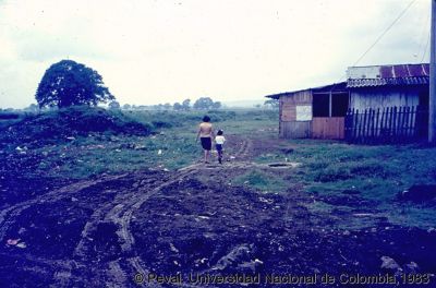 Precariedad de los accesos a viviendas en el Barrio El Vallado Cali
Peval, 1983
Palabras clave: Barrio el Vallado Cali Viviendas