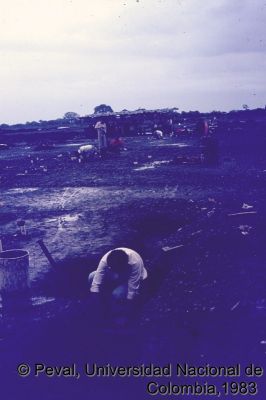 Participación de la comunidad en la autoconstrucción de las viviendas en el Barrio El Vallado Cali
Peval, 1983
Palabras clave: Barrio el Vallado Cali Autoconstrucción Viviendas